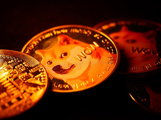 Shiba Inu Coin News