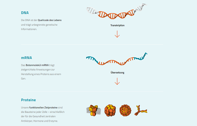 curevac aktie mRNA